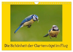 Cover-Bild zum Titel 'Die Schönheit der Gartenvögel im Flug (Wandkalender 2026 DIN A4 quer), CALVENDO Monatskalender' von 'Lutz Klapp'