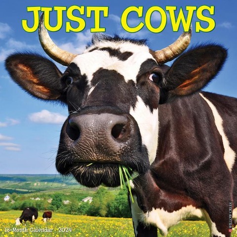 Just Cows 2024 12 X 12 Wall Calendar - Willow Creek Press