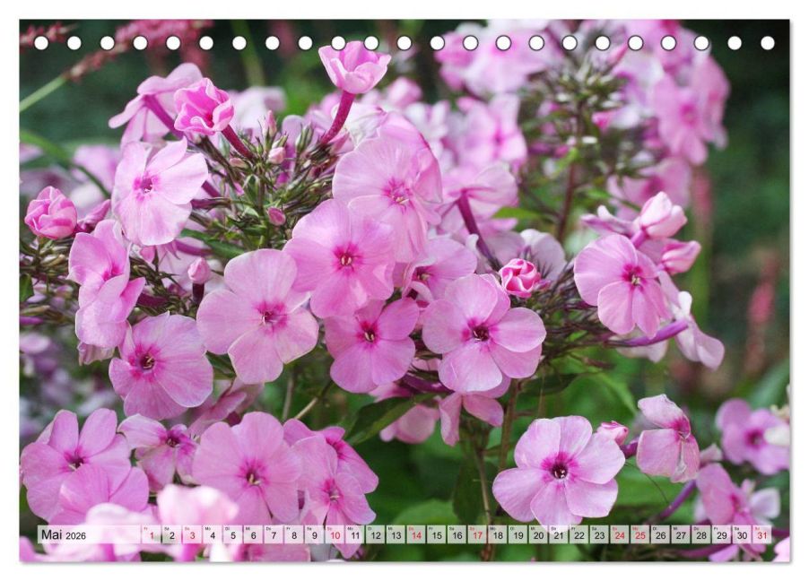 InsideView 10