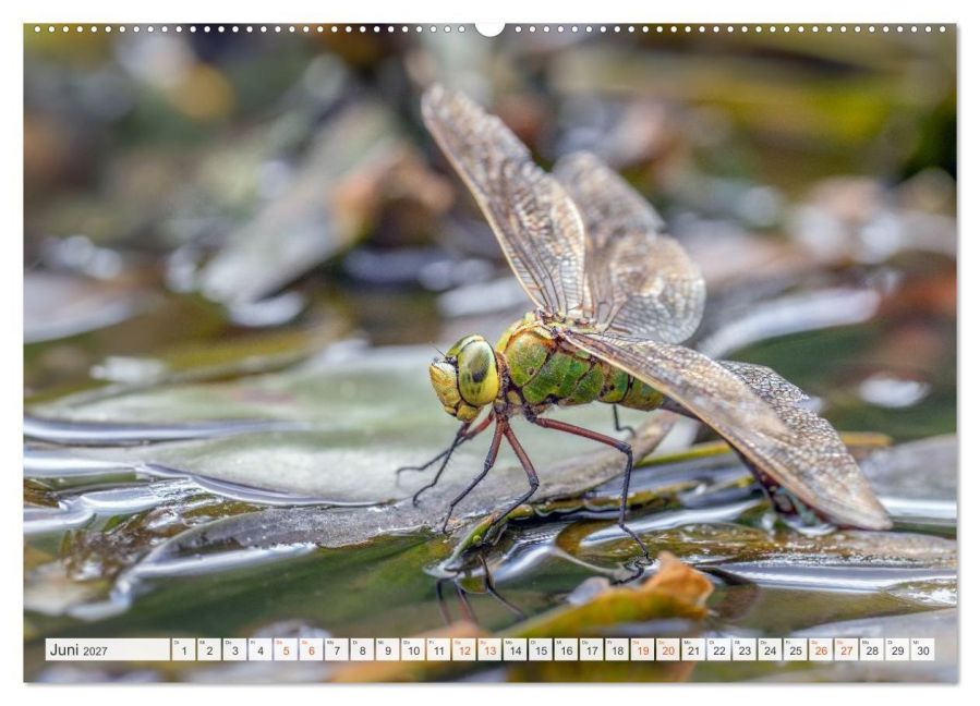 InsideView 10
