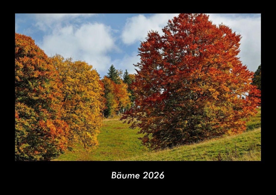 Bäume 2026 Fotokalender DIN A3 - Tobias Becker