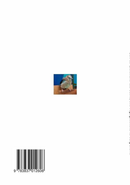 InsideView 1