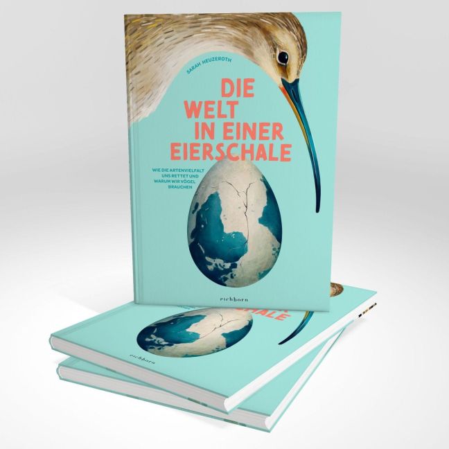InsideView 14