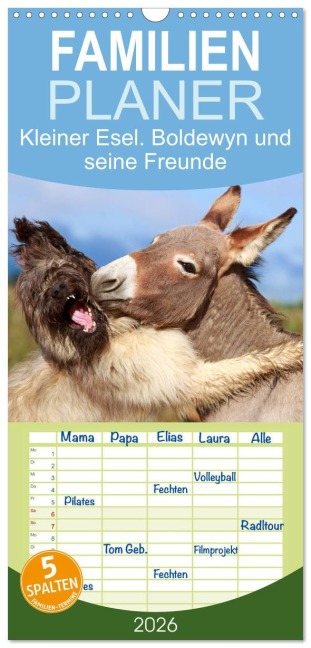 Familienplaner 2026 - Kleiner Esel. Boldewyn und seine Freunde mit 5 Spalten (Wandkalender, 21 x 45 cm) CALVENDO - Elisabeth Stanzer