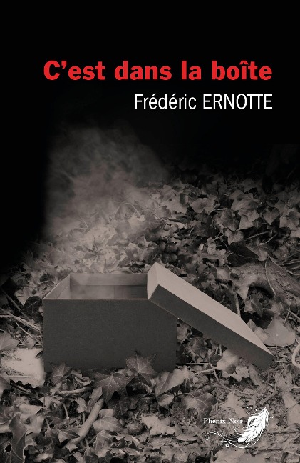 C'est dans la boîte - Frédéric Ernotte