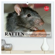 Cover-Bild zum Titel 'Ratten. Gelehrige Haustiere (hochwertiger Premium Wandkalender 2026 DIN A2 quer), Kunstdruck in Hochglanz' von 'Elisabeth Stanzer'