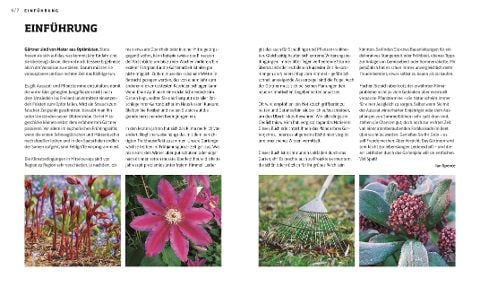 InsideView 2