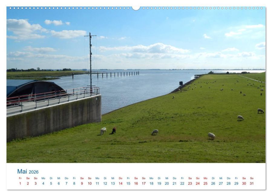 InsideView 10