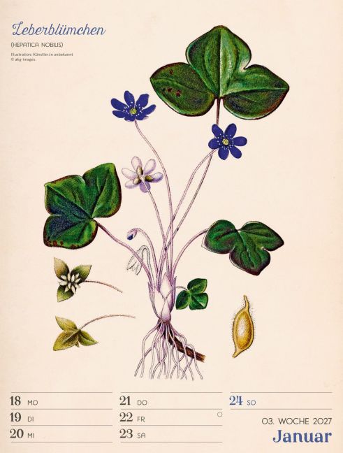 InsideView 7
