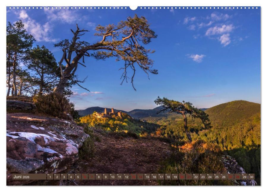 InsideView 11