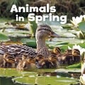 Cover-Bild zum Titel 'Animals in Spring' von 'Kathryn Clay'
