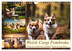 Cover-Bild zum Titel 'Welsh Corgi Pembroke (Wandkalender 2026 DIN A4 quer), CALVENDO Monatskalender' von 'Claudia Kleemann'