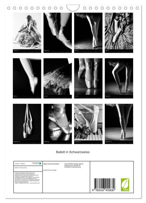 InsideView 5