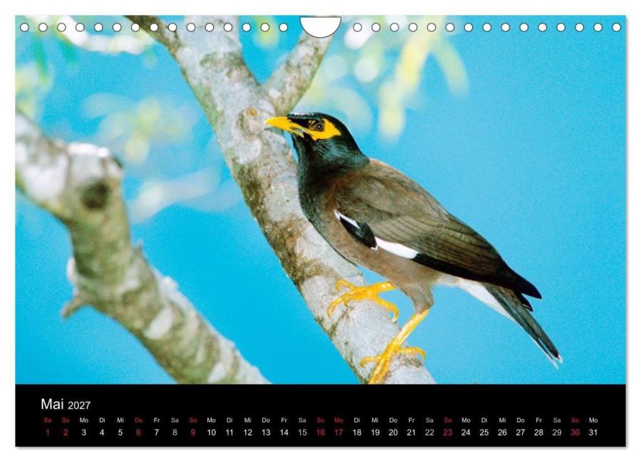 InsideView 10