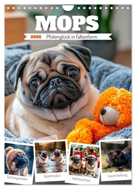 MOPS Pfotenglück in Faltenform (Wandkalender 2026 DIN A4 hoch), CALVENDO Monatskalender - Melanie Viola
