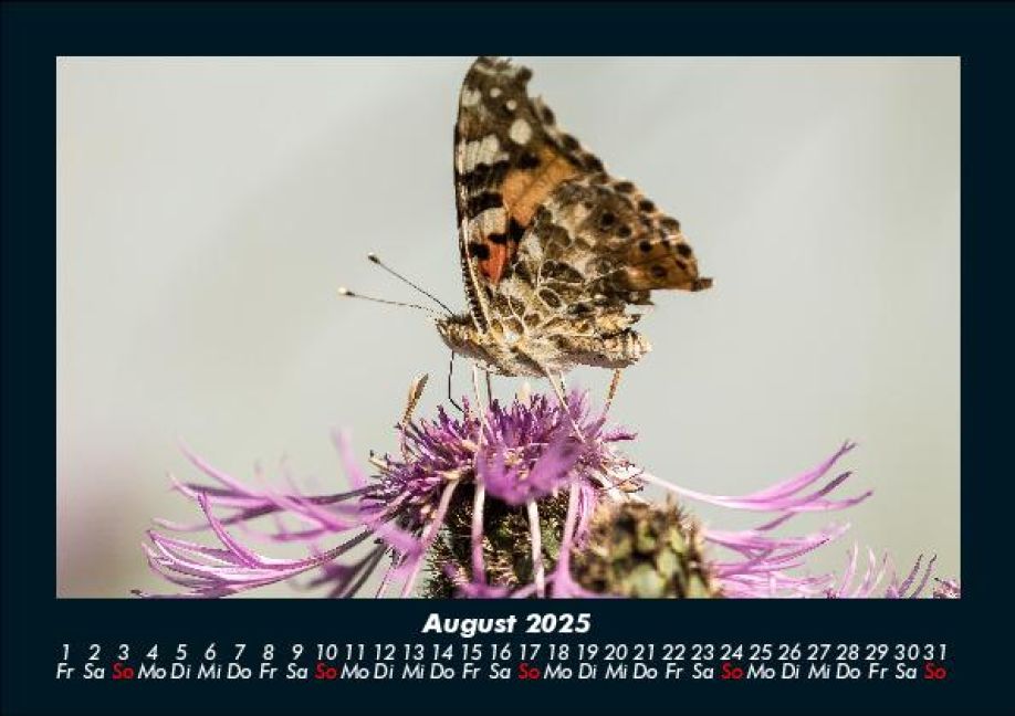 InsideView 12