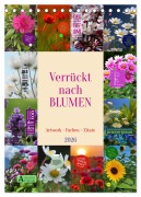 Cover-Bild zum Titel 'Verrückt nach BLUMEN Artwork - Farben - Zitate (Tischkalender 2026 DIN A5 hoch), CALVENDO Monatskalender' von 'Susan Michel'