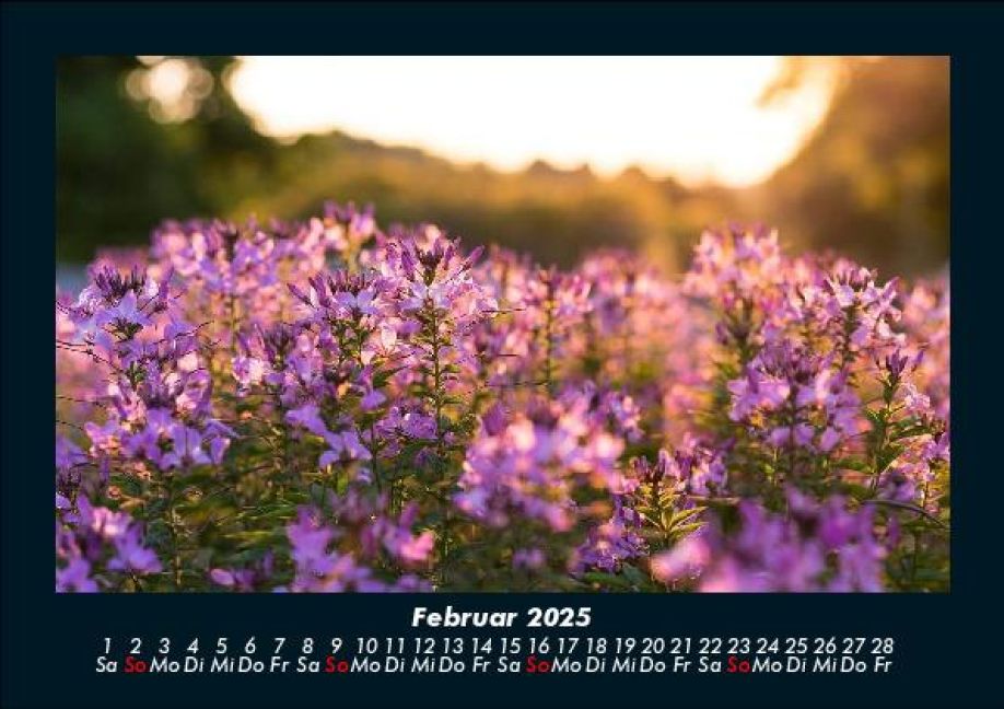 InsideView 6