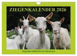 Cover-Bild zum Titel 'Ziegenkalender 2026 (Wandkalender 2026 DIN A4 quer), CALVENDO Monatskalender' von 'Antje und Dietmar Püpke'