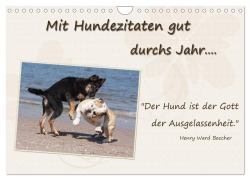 Cover-Bild zum Titel 'Mit Hundezitaten gut durchs Jahr (Wandkalender 2026 DIN A4 quer), CALVENDO Monatskalender' von 'Chawera Chawera'
