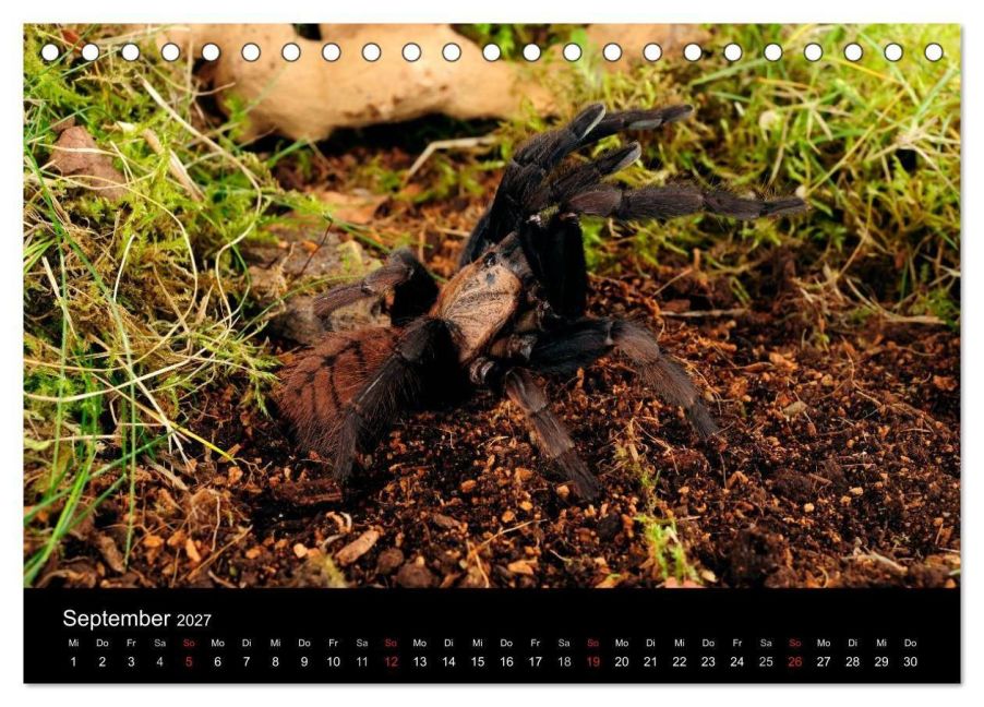 InsideView 14