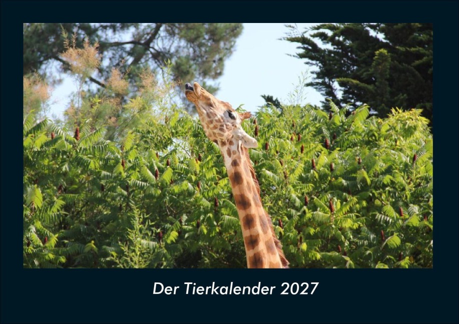 Der Tierkalender 2027 Fotokalender DIN A4 - Tobias Schmitt, Kevin Heber