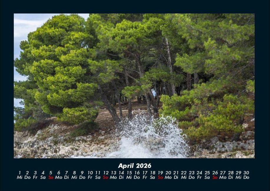 InsideView 8
