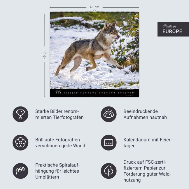 InsideView 13