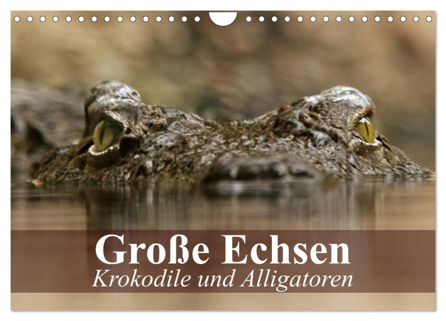 Große Echsen. Krokodile und Alligatoren (Wandkalender 2026 DIN A4 quer), CALVENDO Monatskalender - Elisabeth Stanzer