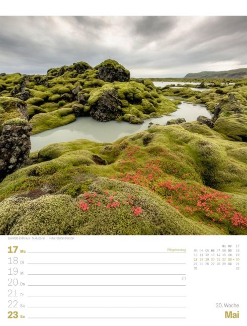 InsideView 24