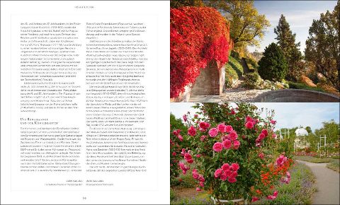 InsideView 3