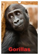 Cover-Bild zum Titel 'Gorillas (Wandkalender 2026 DIN A4 hoch), CALVENDO Monatskalender' von 'Elisabeth Stanzer'