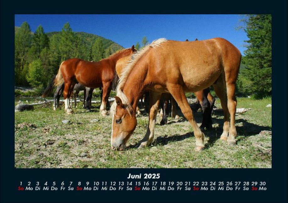InsideView 10