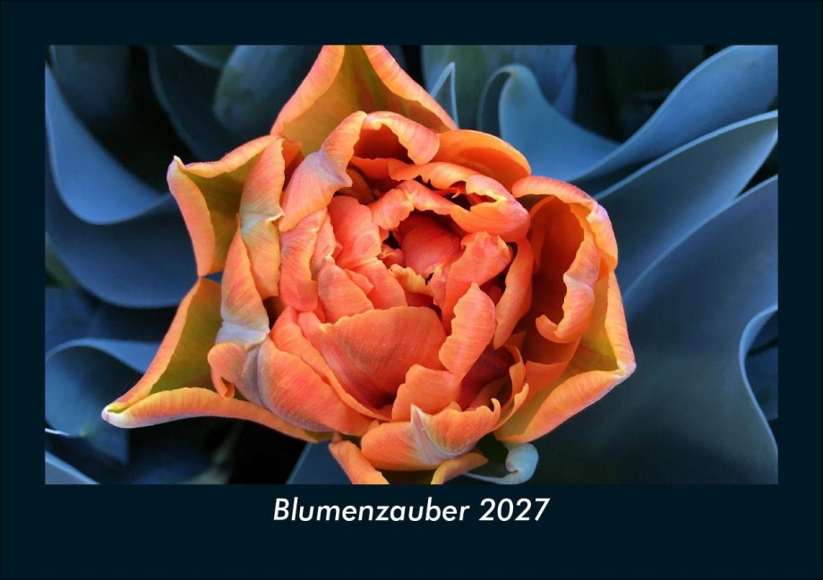 Blumenzauber 2027 Fotokalender DIN A5 - Tobias Schmitt, Kevin Heber