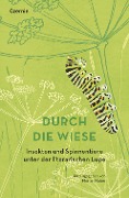 Cover-Bild zum Titel 'Durch die Wiese' von ''