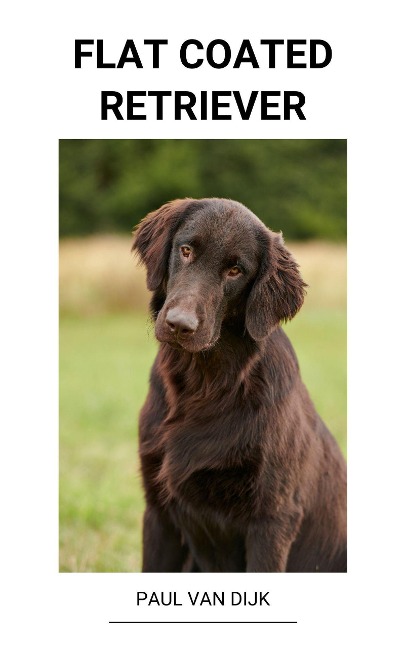 Flat Coated Retriever - Paul van Dijk
