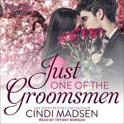 Just One of the Groomsmen Lib/E - Cindi Madsen