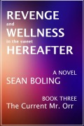 Cover-Bild zum Titel 'Revenge and Wellness in the Sweet Hereafter (The Current Mr. Orr, #3)' von 'Sean Boling'