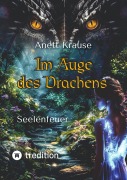Cover-Bild zum Titel 'Im Auge des Drachens' von 'Anett Krause'