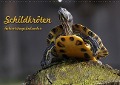 Cover-Bild zum Titel 'Schildkröten Geburtstagskalender (Wandkalender immerwährend DIN A2 quer)' von 'Martina Berg'