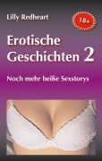 Cover-Bild zum Titel 'Erotische Geschichten 2' von 'Lilly Redheart'