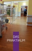 Cover-Bild zum Titel 'Das Praktikum' von 'Chinz'