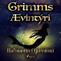 Cover-Bild zum Titel 'Hafmærin í tjörninni' von 'Grimmsbræður'