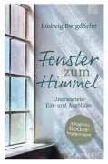 Cover-Bild zum Titel 'Fenster zum Himmel' von 'Ludwig Burgdörfer'