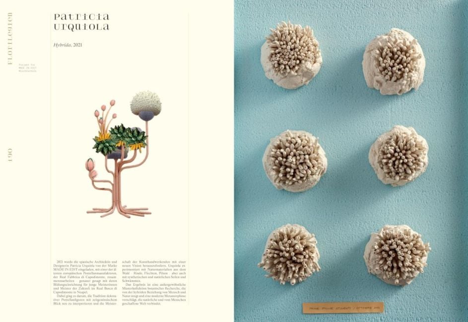InsideView 13