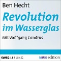 Cover-Bild zum Titel 'Revolution im Wasserglas' von 'Ben Hecht'