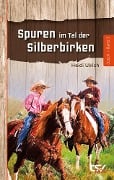 Cover-Bild zum Titel 'Spuren im Tal der Silberbirken' von 'Heidi Ulrich'
