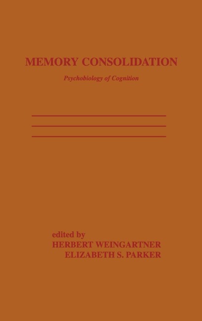 Memory Consolidation - 