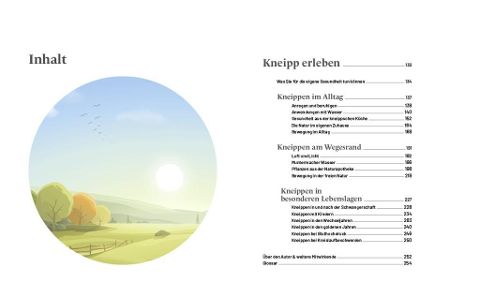 InsideView 2