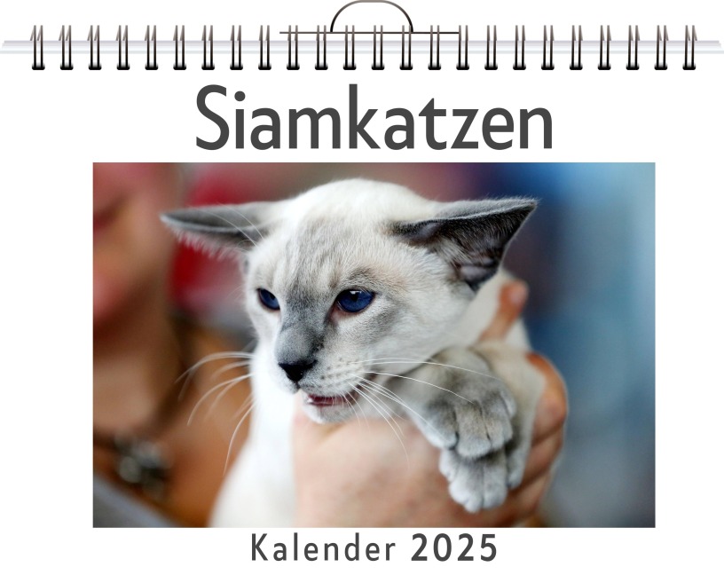 Siamkatzen - Lucas König
